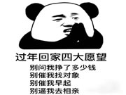 最近的年轻人,开始流行当“过年主理人”