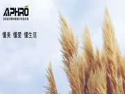 阿芙洛板材:用好“芯”,做好板!