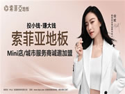 索菲亚地板Mini店模式 是搅局者还是开拓者?