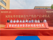 凤阳家居五十周年庆典暨2023新品发布会圆满结束!